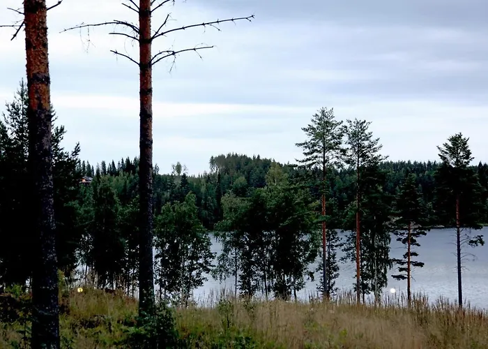 Saimaanranta By Anttolanhovi